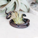 Ceramic Snake Plant Holder - Medium