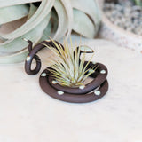 Ceramic Snake Plant Holder - Medium