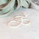 Small Ceramic Snake