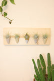 Ceramic and Wood Wall Planter - Horizontal