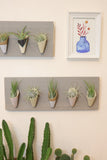 Ceramic and Wood Wall Planter - Horizontal