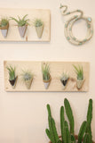 Ceramic and Wood Wall Planter - Horizontal