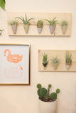 Ceramic and Wood Wall Planter - Horizontal