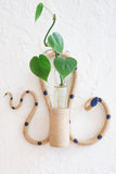 *Limited Edition* Wall Plant Propagation Station