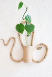 *Limited Edition* Wall Plant Propagation Station