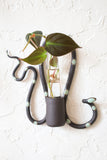 *Limited Edition* Wall Plant Propagation Station
