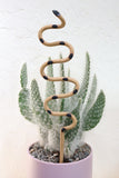 Plant Snake Stake