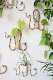 *Limited Edition* Wall Plant Propagation Station