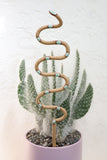 Plant Snake Stake