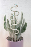 Plant Snake Stake
