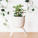 Ceramic Footed Planters, Classic