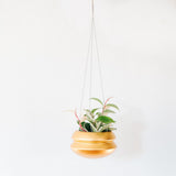 Hanging Planter