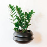 Hanging Planter