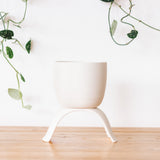 Ceramic Footed Planters, Classic