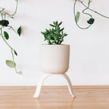 Ceramic Footed Planters, Classic