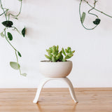 Ceramic Footed Planters, Shallow