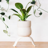 Ceramic Footed Planter, Wiggle