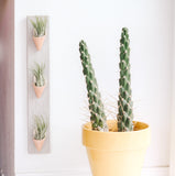 Ceramic Wall Planter - Triple