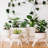 Ceramic Footed Planter, Wiggle