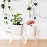 Ceramic Footed Planters, Classic