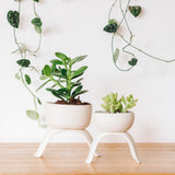 Ceramic Footed Planters, Shallow