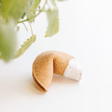 Speckled White Fortune Cookie