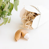 Speckled White Fortune Cookie