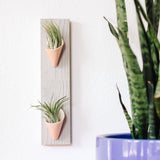 Ceramic Wall Planter - Double