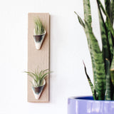 Ceramic Wall Planter - Double