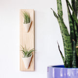 Ceramic Wall Planter - Double