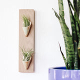 Ceramic Wall Planter - Double