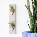 Ceramic Wall Planter - Double