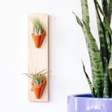 Ceramic Wall Planter - Double