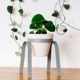 Metal Plant Stand with Pot