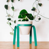 Metal Plant Stand with Pot
