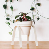Metal Plant Stand with Pot