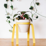 Metal Plant Stand with Pot