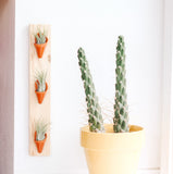 Ceramic Wall Planter - Triple